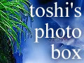 Toshiの写真箱